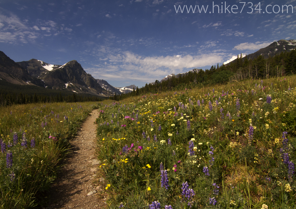 Medicine Grizzly Lake