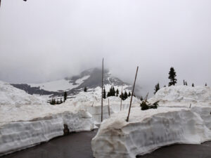 Logan Pass Early 2013