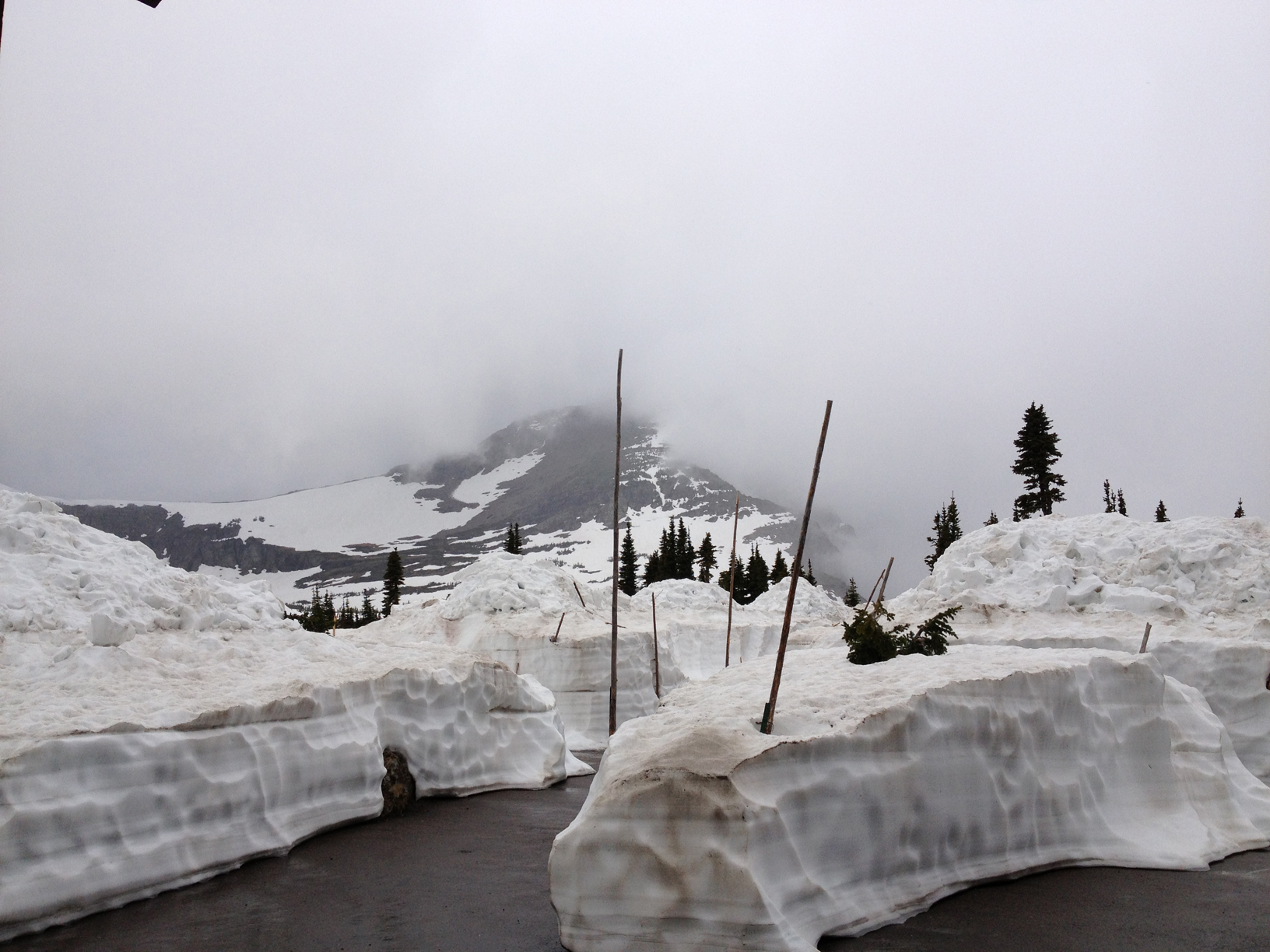 Logan Pass – Half Opened