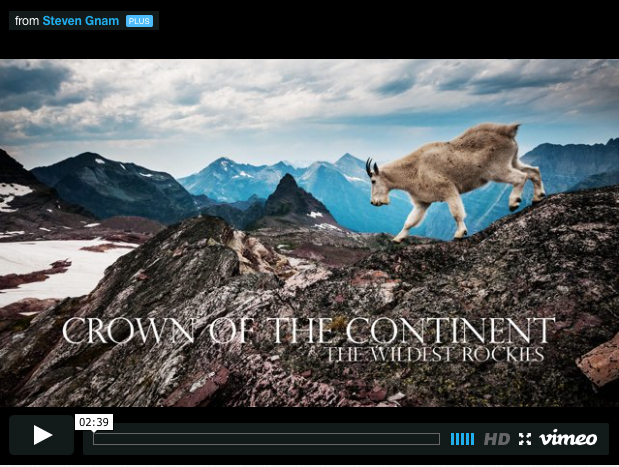 Feature Friday – Steven Gnam