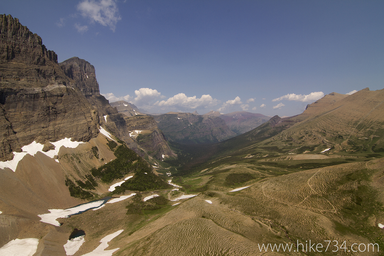 In Search of Ptarmigans on Piegan Pass