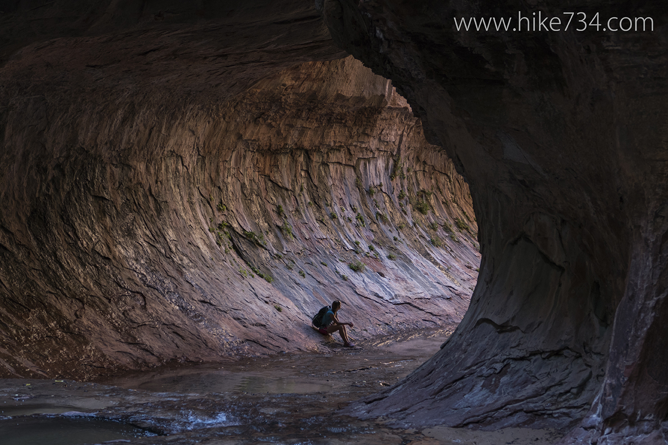 Zion National Park Announcement