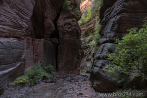 Bear Trap Canyon
