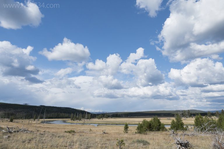 Sentinel Meadows & Queens Laundry