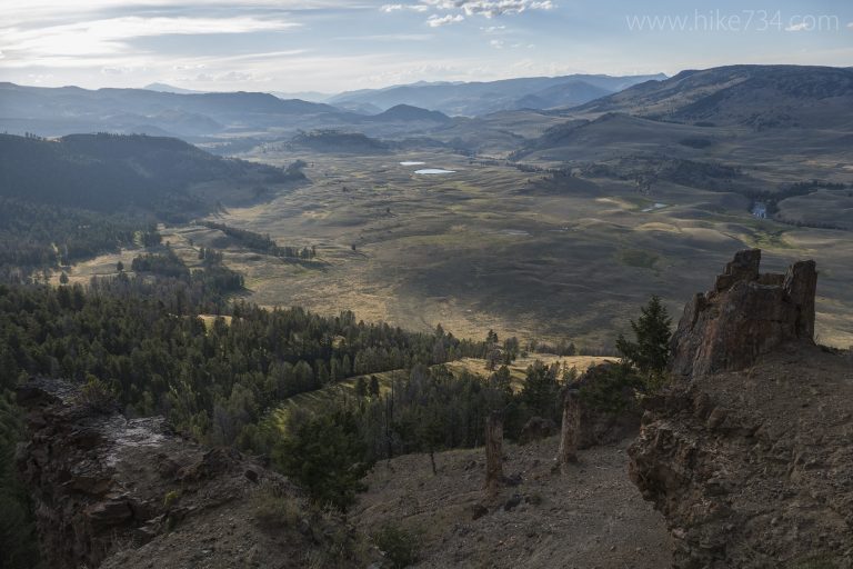 Petrified Trees on Specimen Ridge