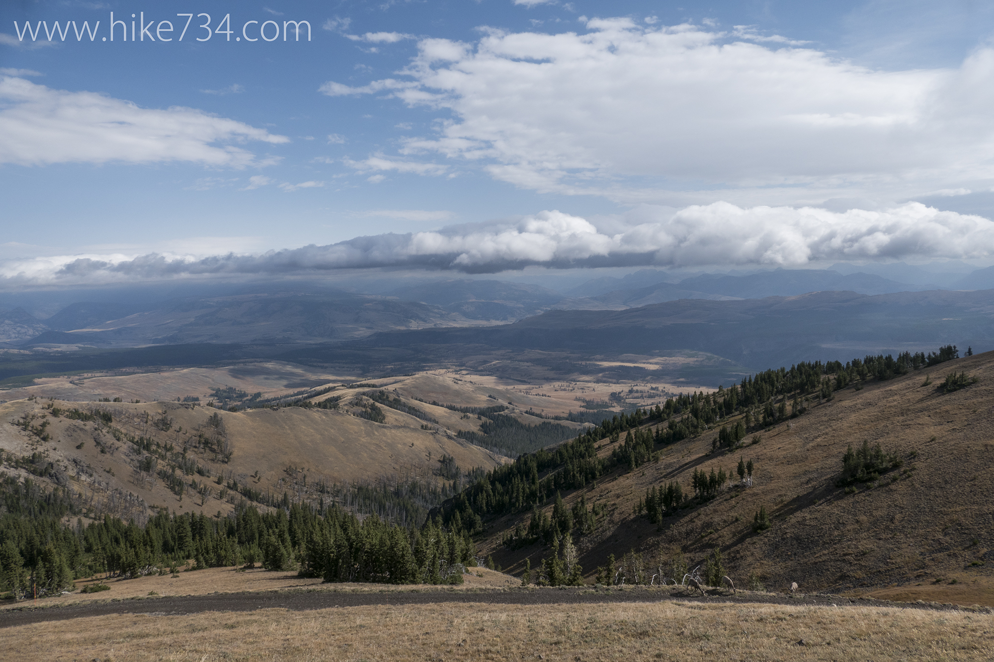 Mt. Washburn via Chittenden Road