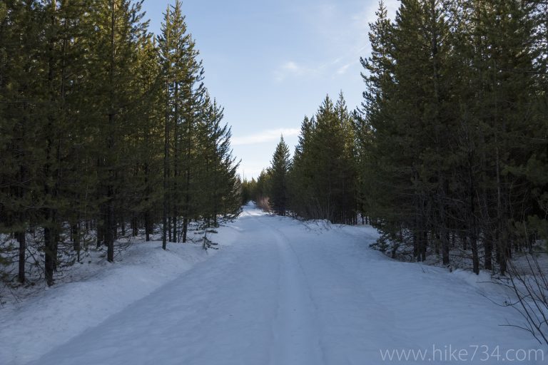 Ski to Covey Meadow 2017