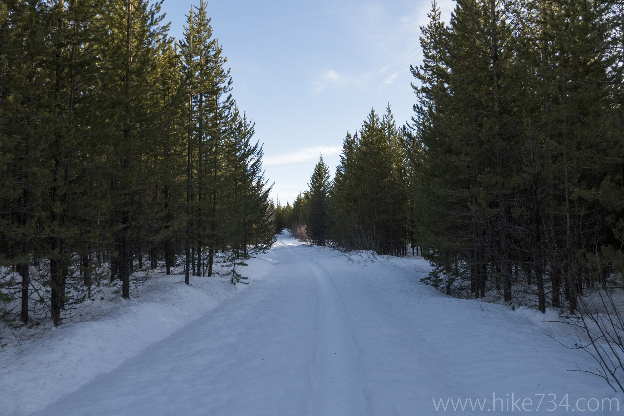 Ski to Covey Meadow 2017