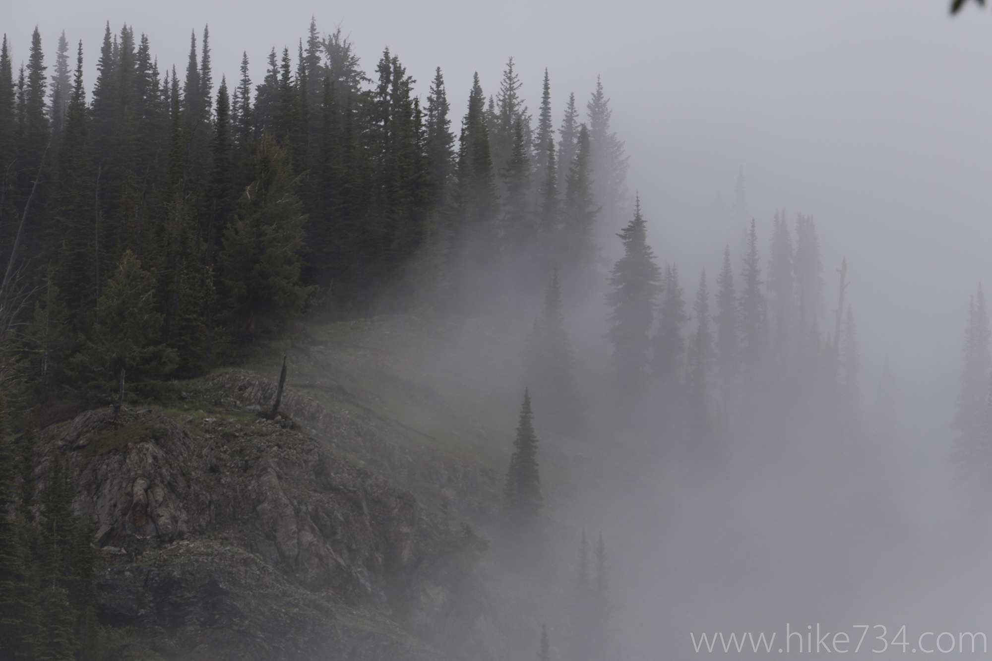 Scalplock Lookout 2017