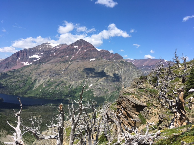 Scenic Point 2017 by Mrs. Hike 734