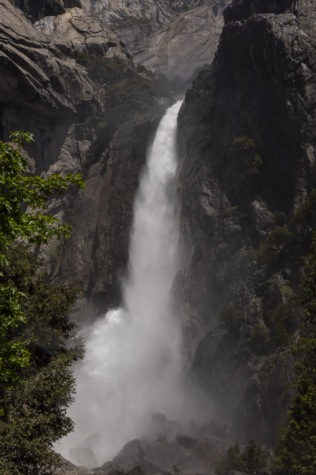 Lower Yosemite Fall