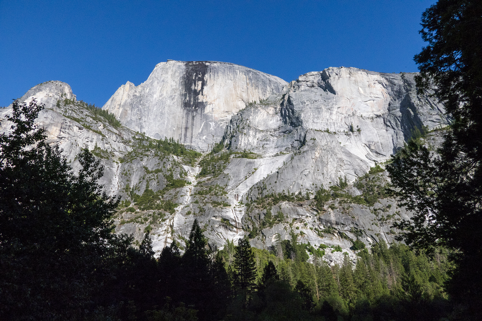 Mirror Lake Loop and Snow Creek Trail