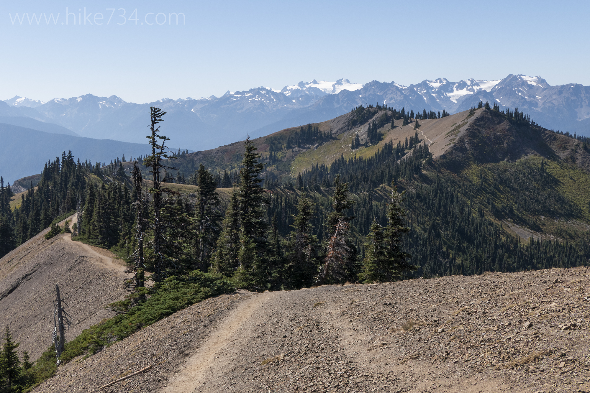 Hurricane Ridge to Klahhane Ridge