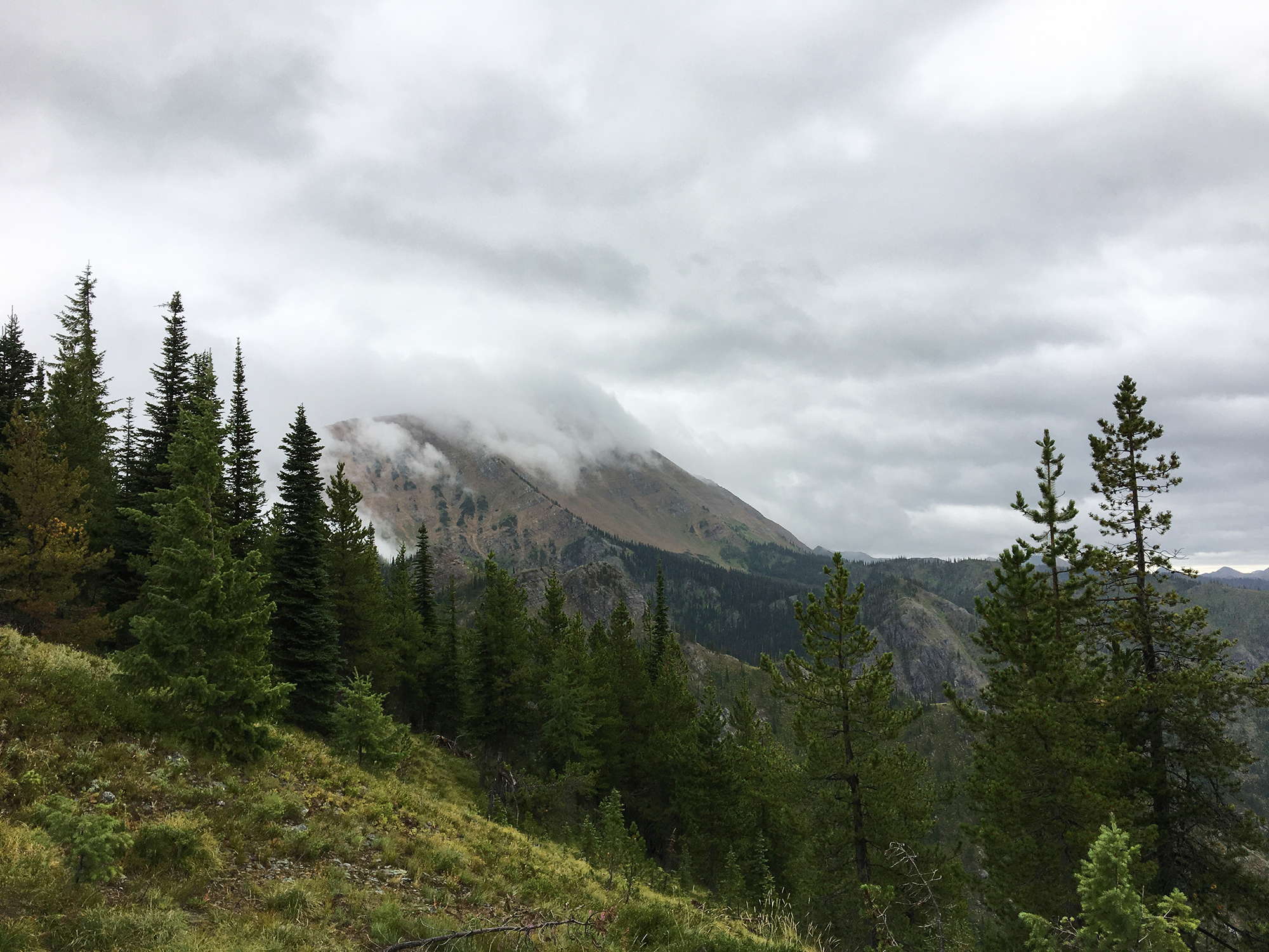 Knowing when to call it