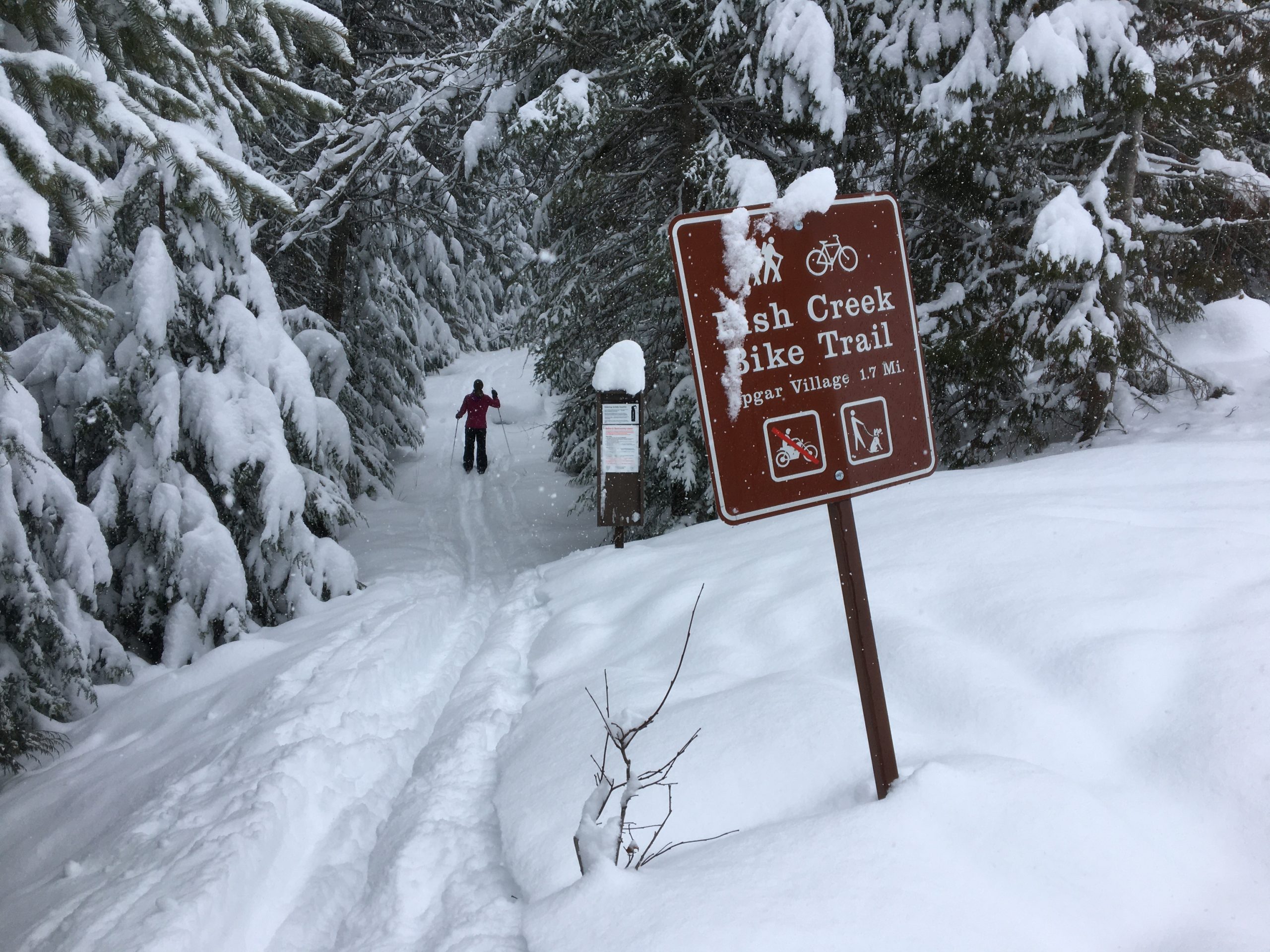 Skiing Grist Road to Fish Creek