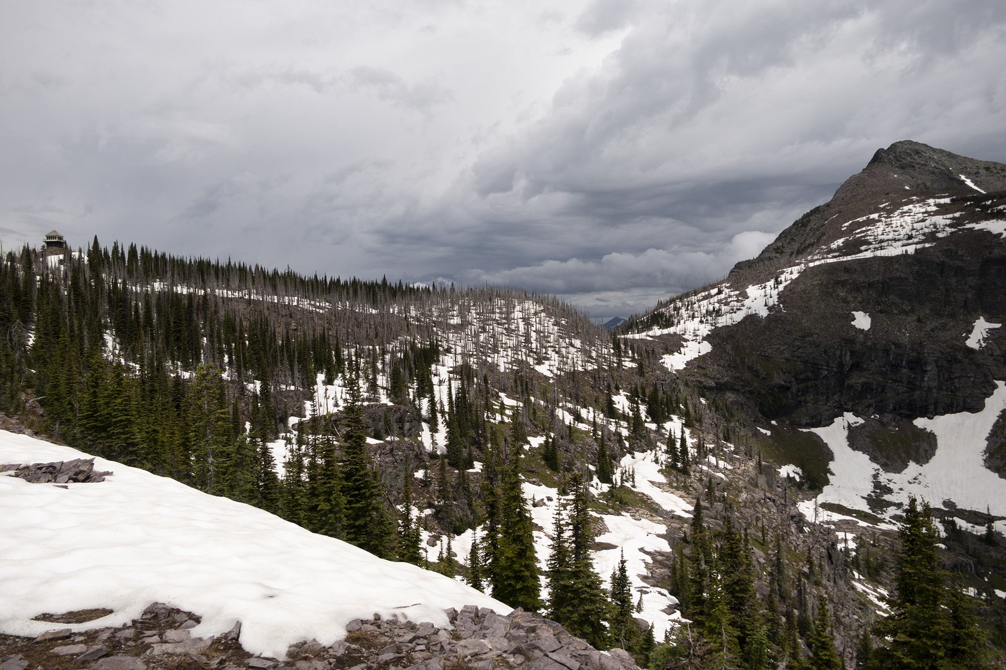 Mt Brown Lookout 2022