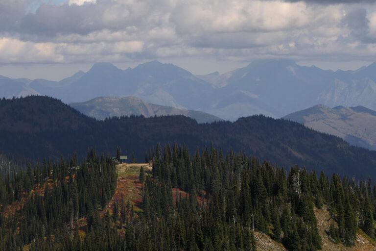 Danny On Memorial Trail