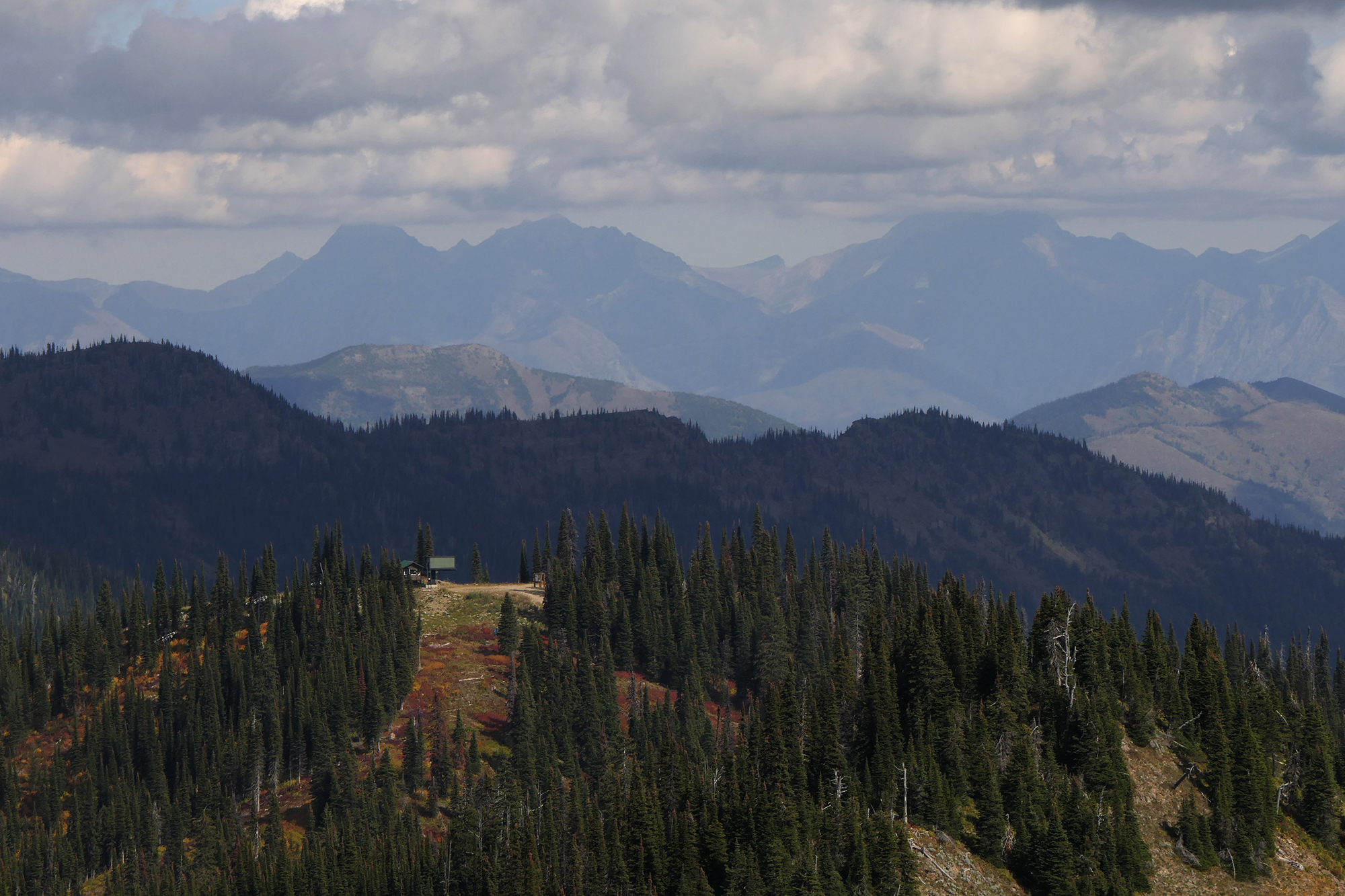 Danny On Memorial Trail
