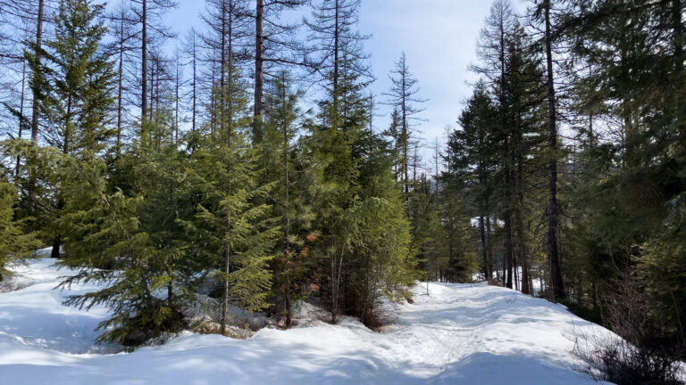 “Spring” into Training