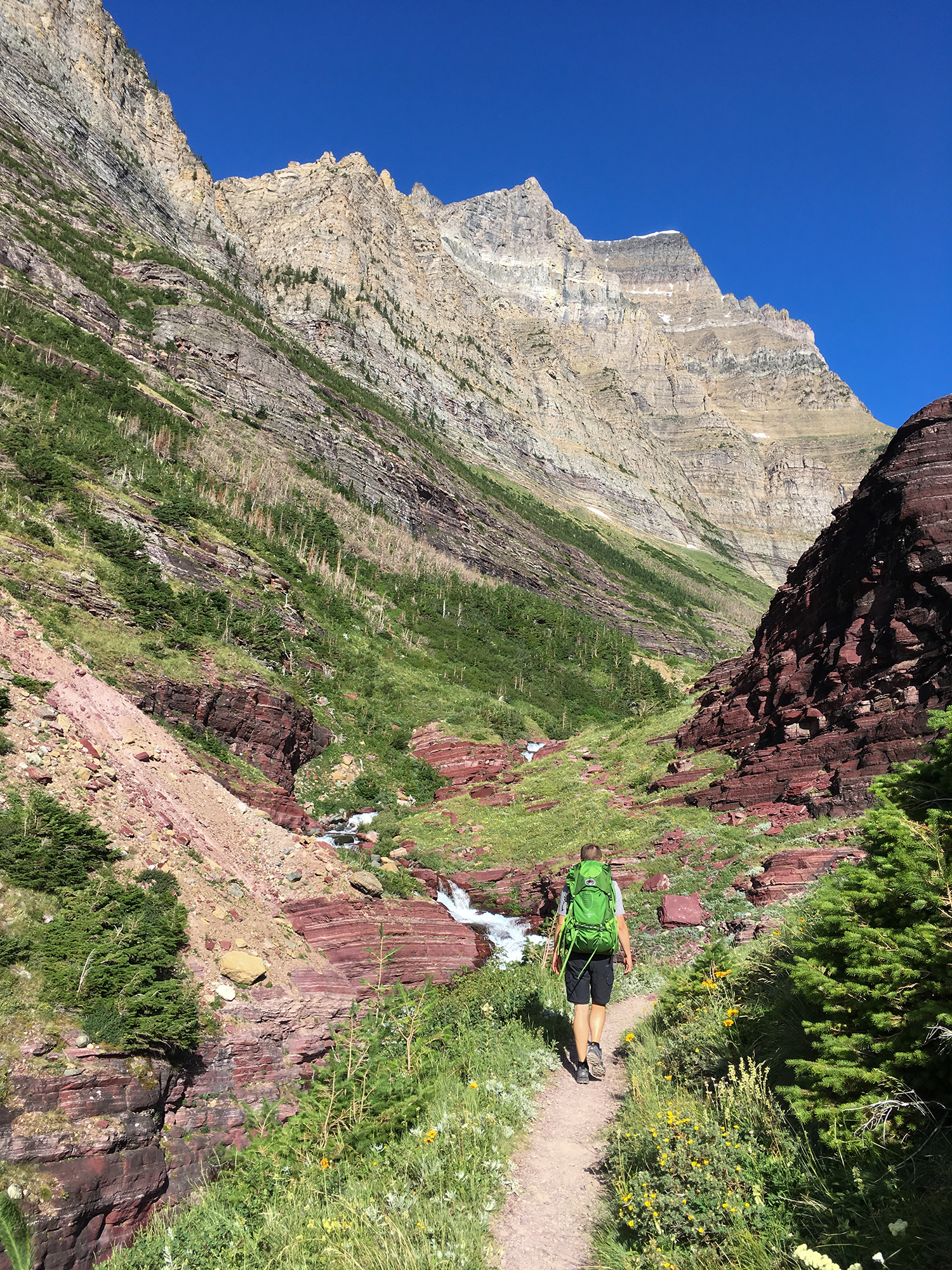 Hiker on mountain hiking trail
