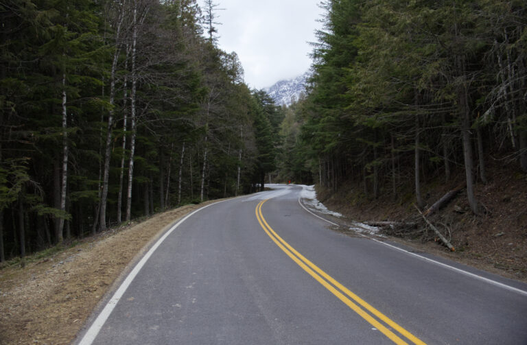 Spring Walking Along Going-to-the-Sun Road