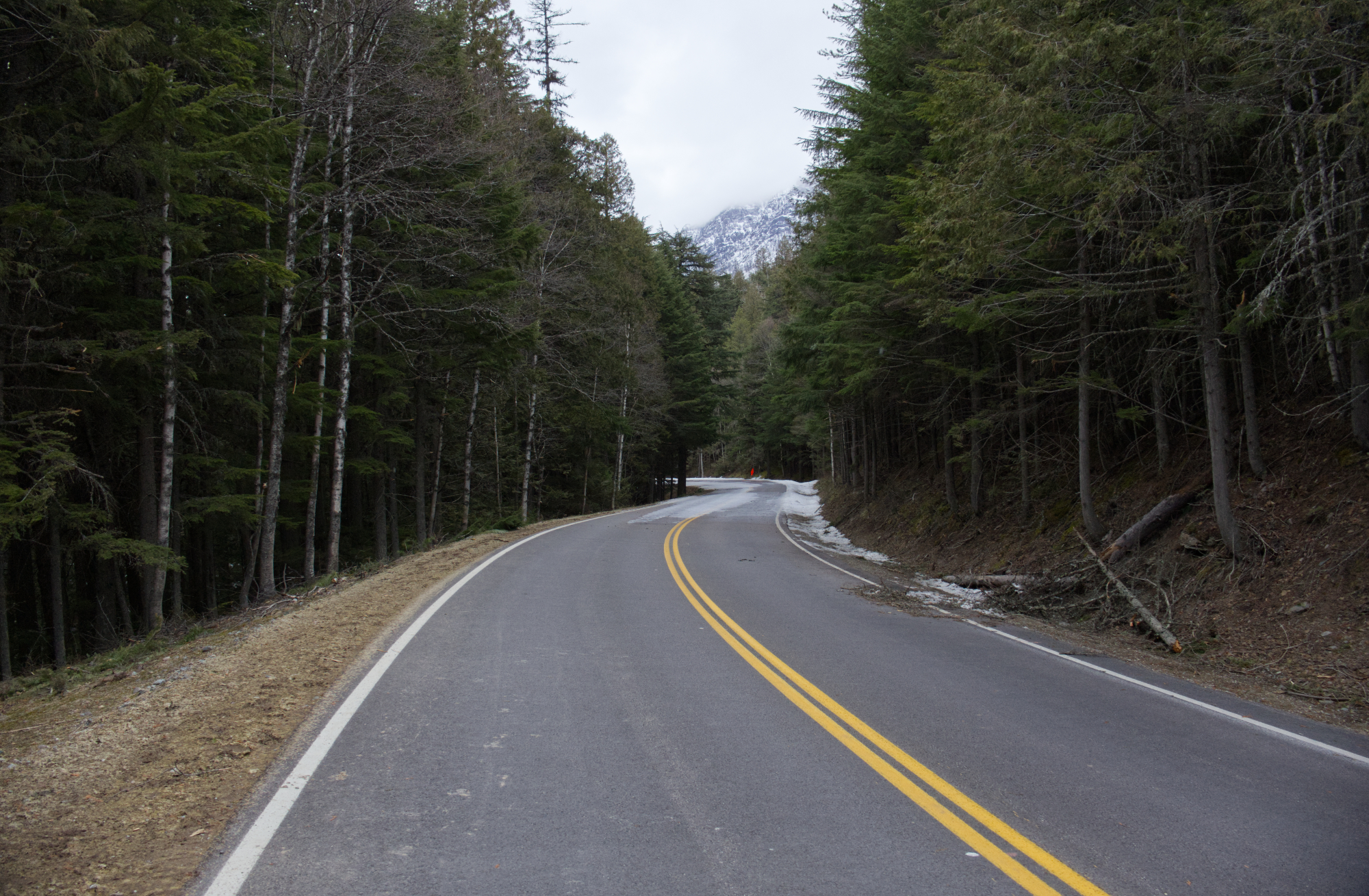 Spring Walking Along Going-to-the-Sun Road