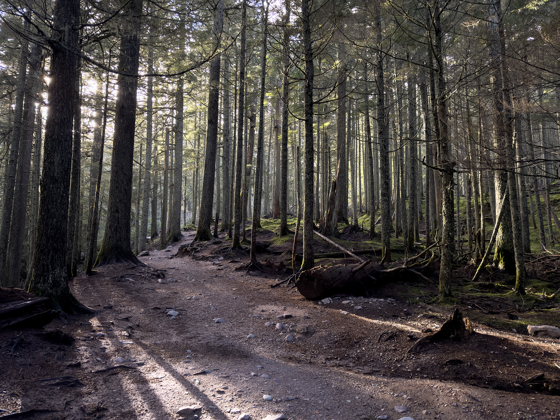 Avalanche Lake – Fall 2025
