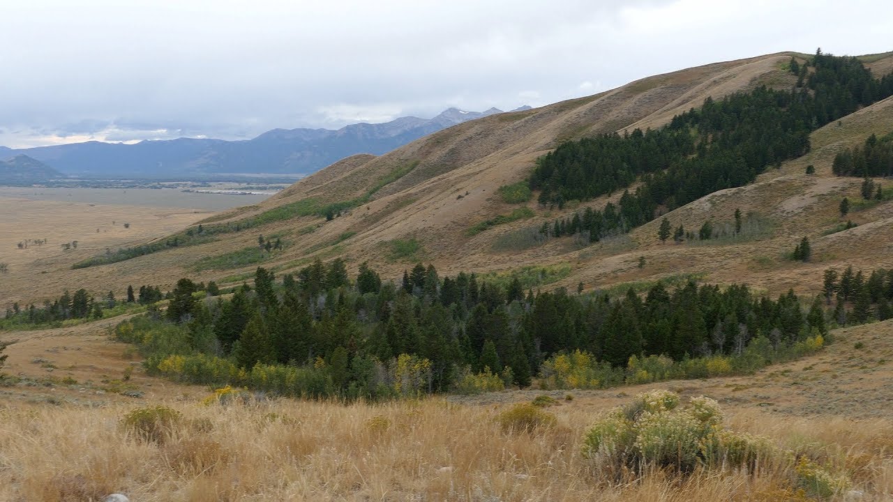 Blacktail Butte