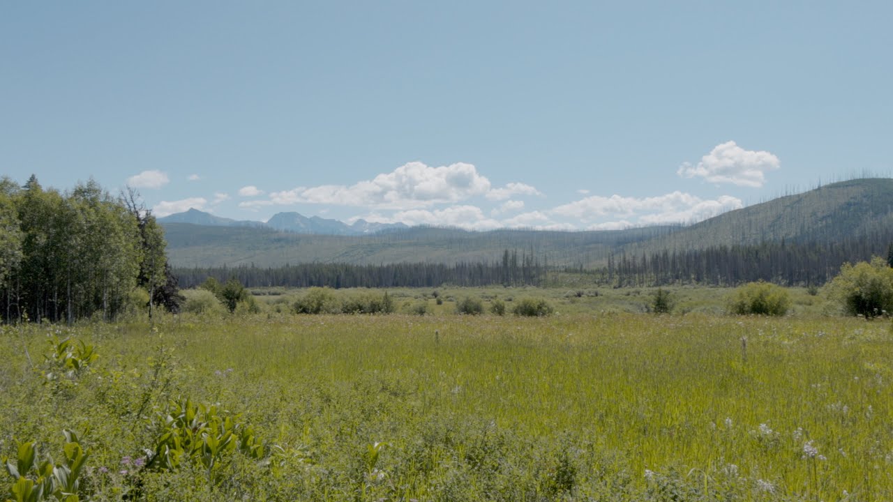 Christensen Meadows - 2025