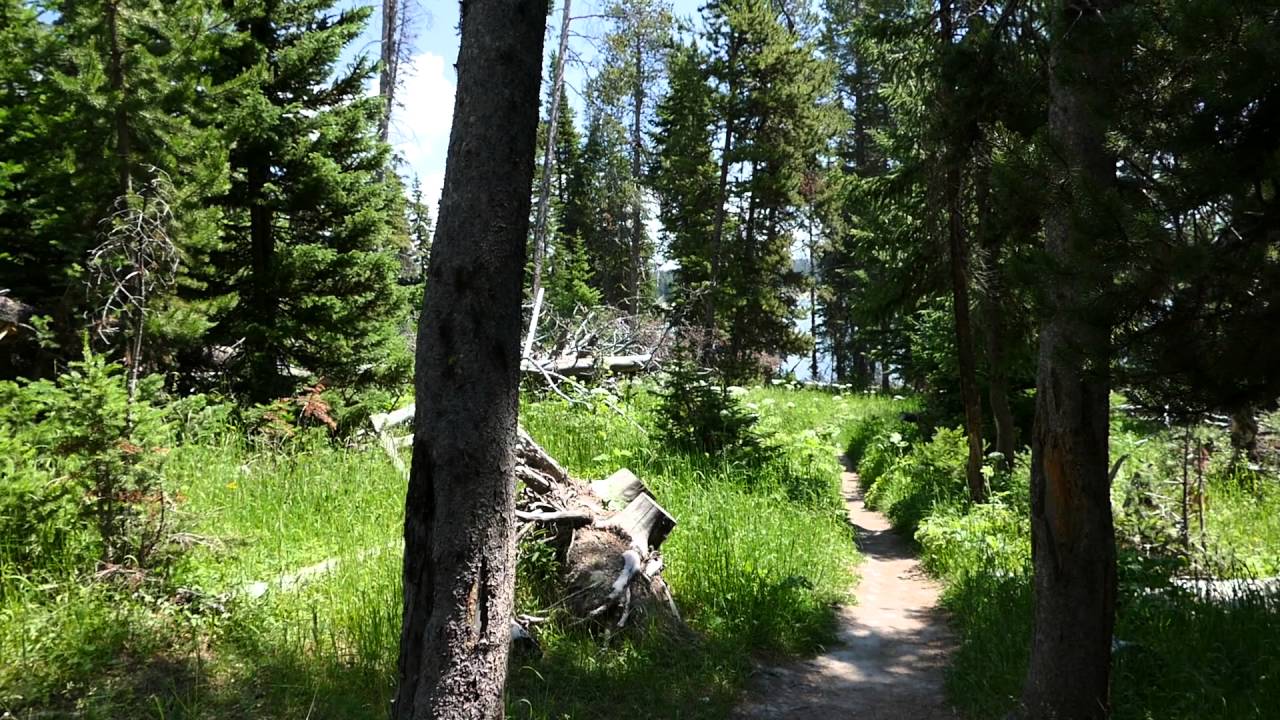 Storm Point Nature Trail