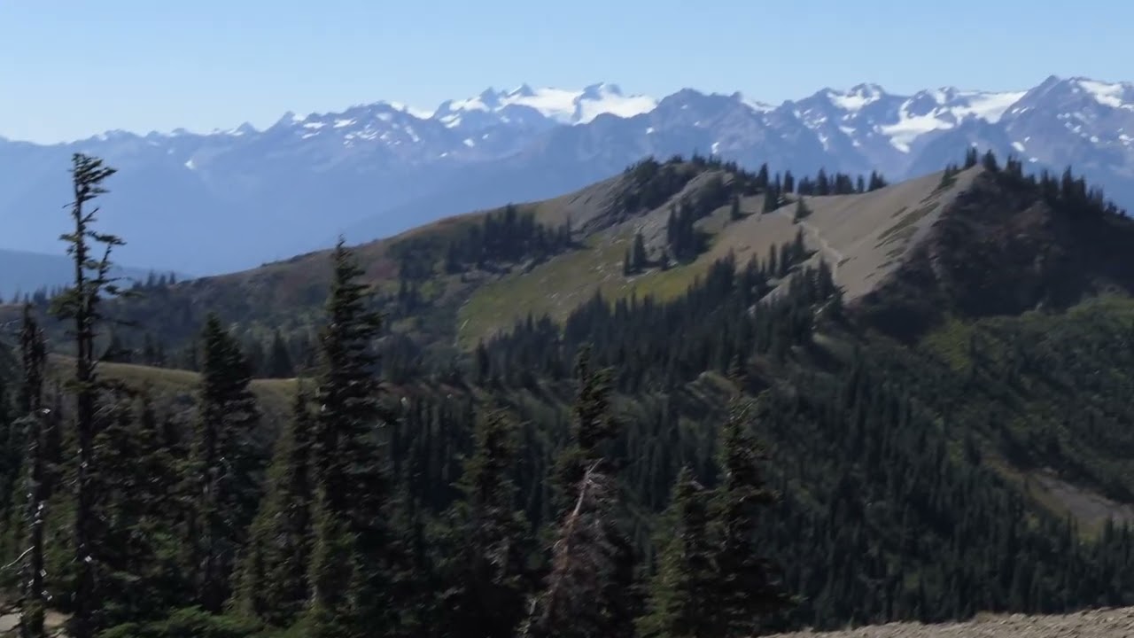 Hurricane Ridge to Klahhane Ridge