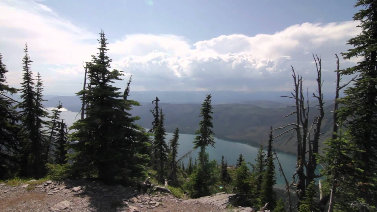 Mt. Brown Lookout