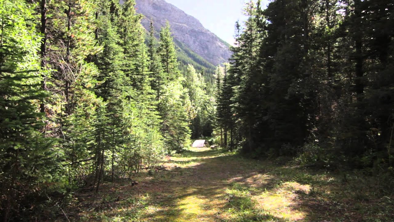Cameron Creek Trail