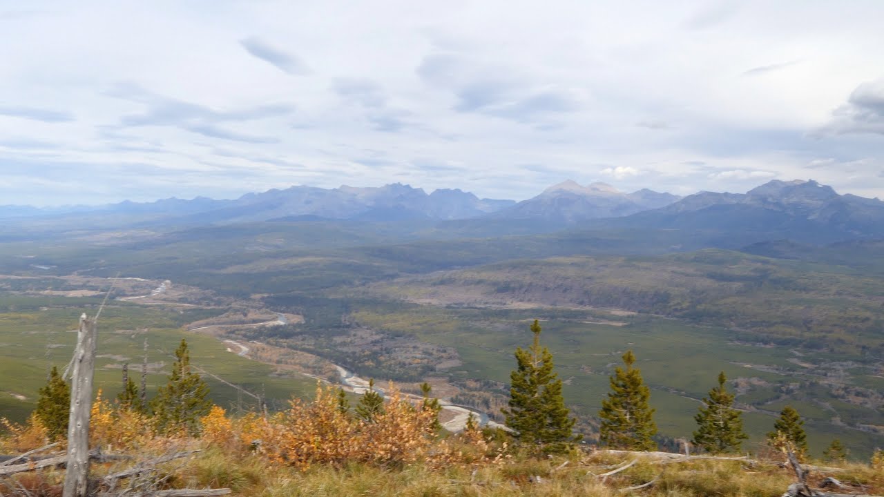 Glacier View 2021