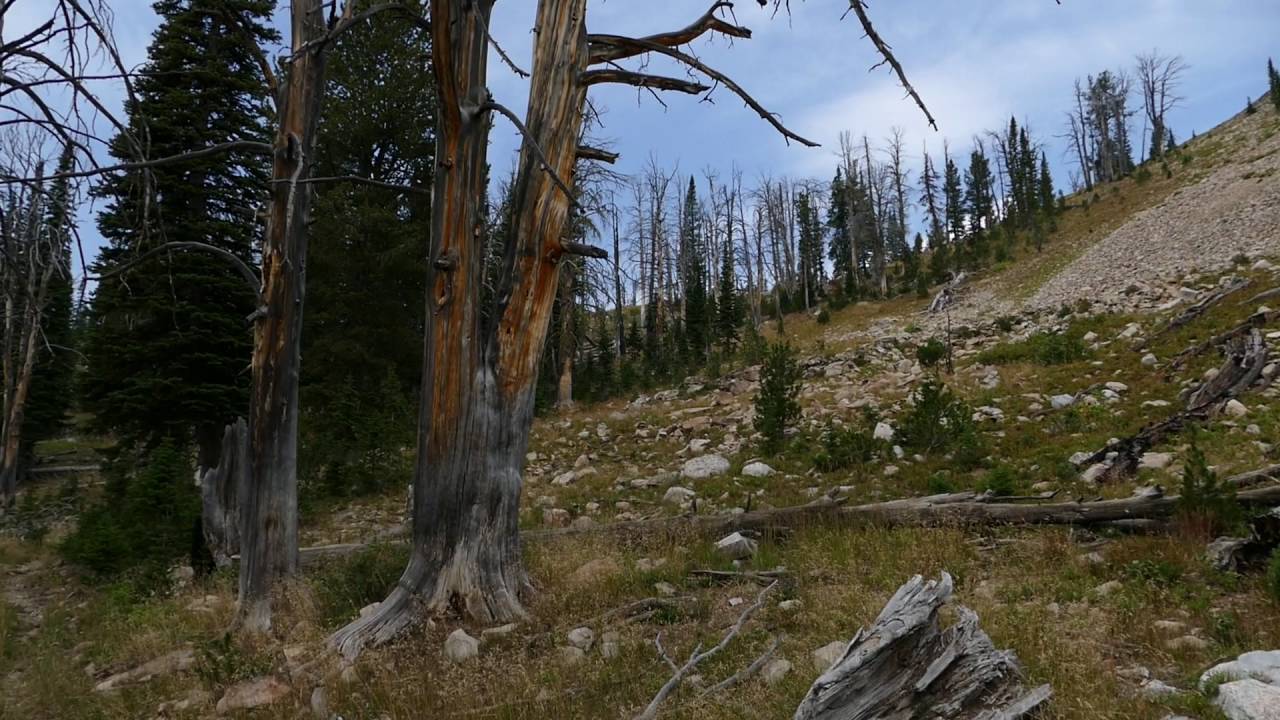 Mt Holmes and Trilobite Lake