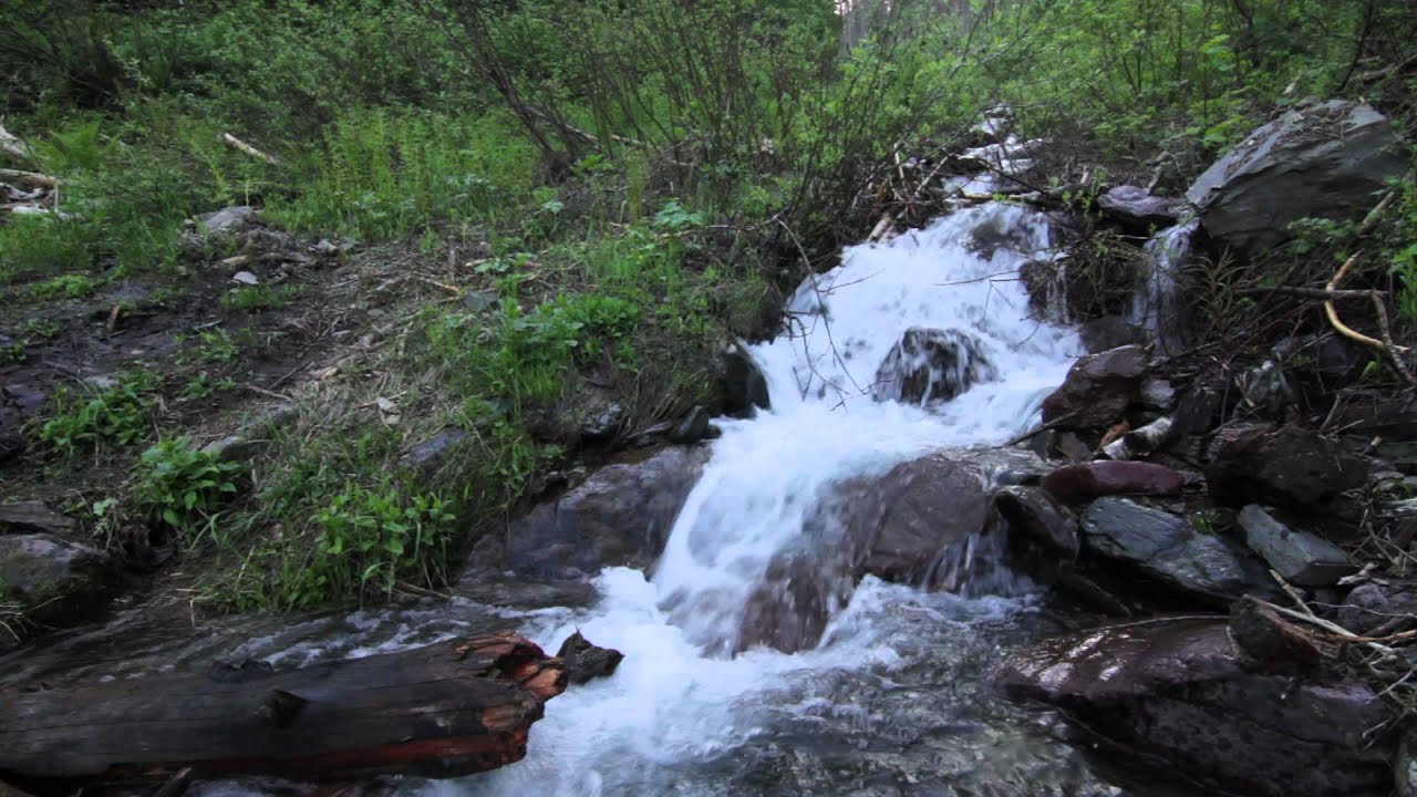 Howe Ridge Trail