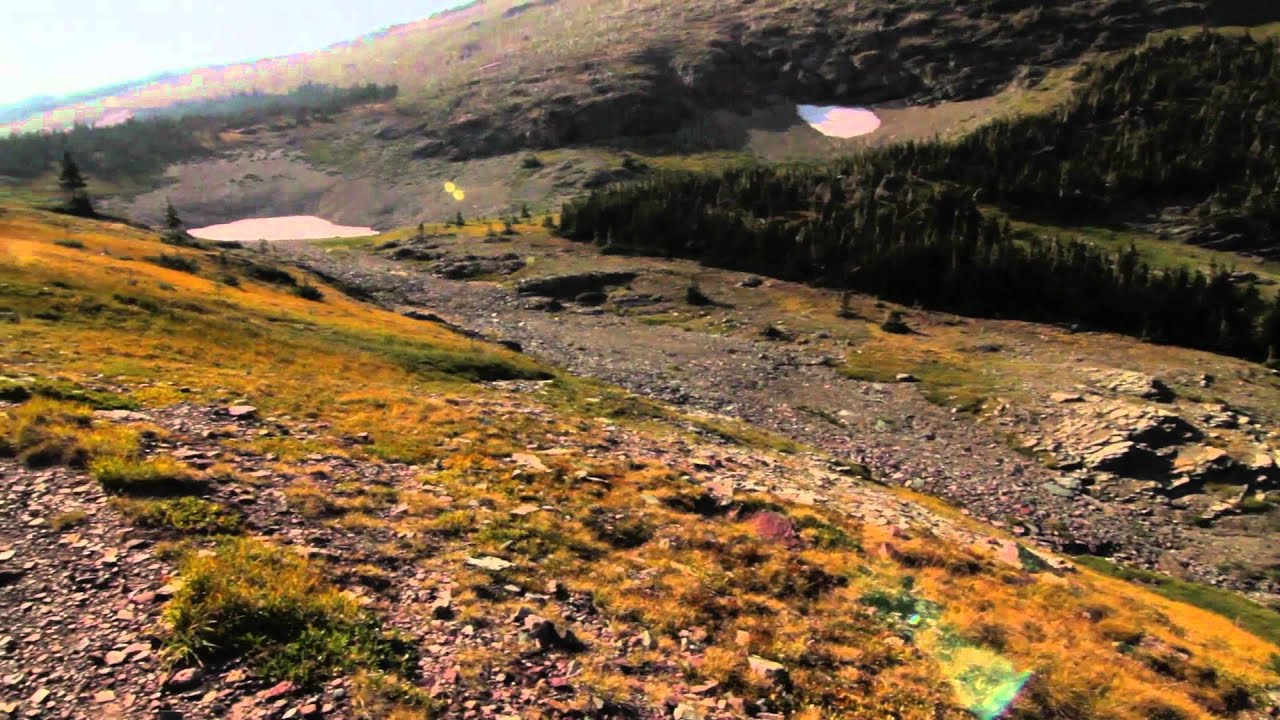 Swiftcurrent Pass and Lookout - August 2012