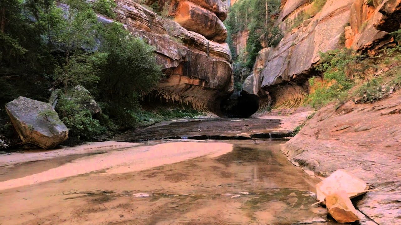 The Subway