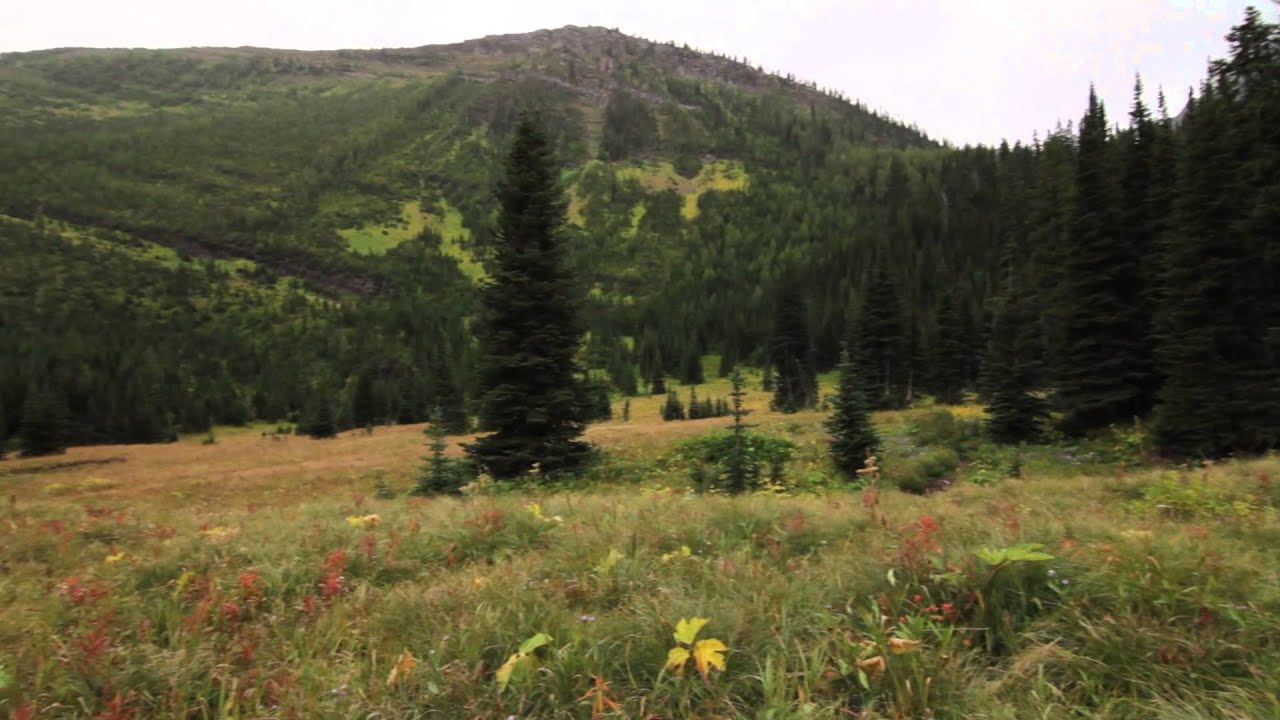 Blakiston Falls & Snowshoe Trail - Waterton Lakes National Park