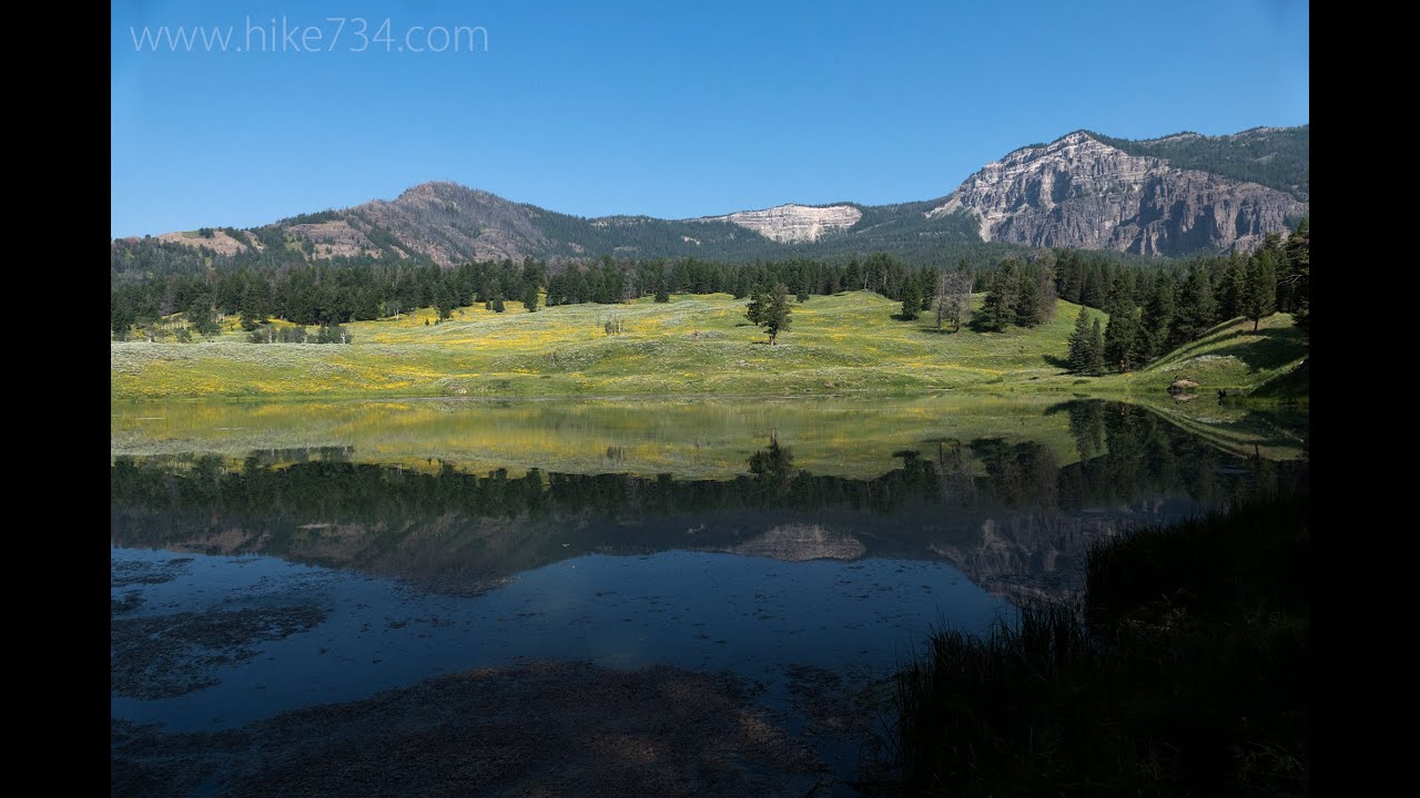 Trout Lake in Yellowstone National Park