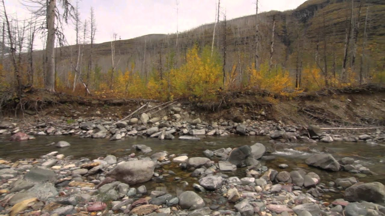 Mineral Creek Cabin