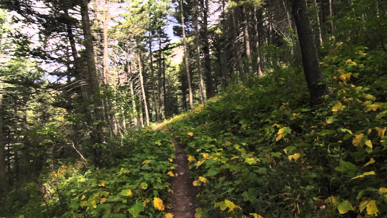 Crandell Loop - Waterton Lakes National Park