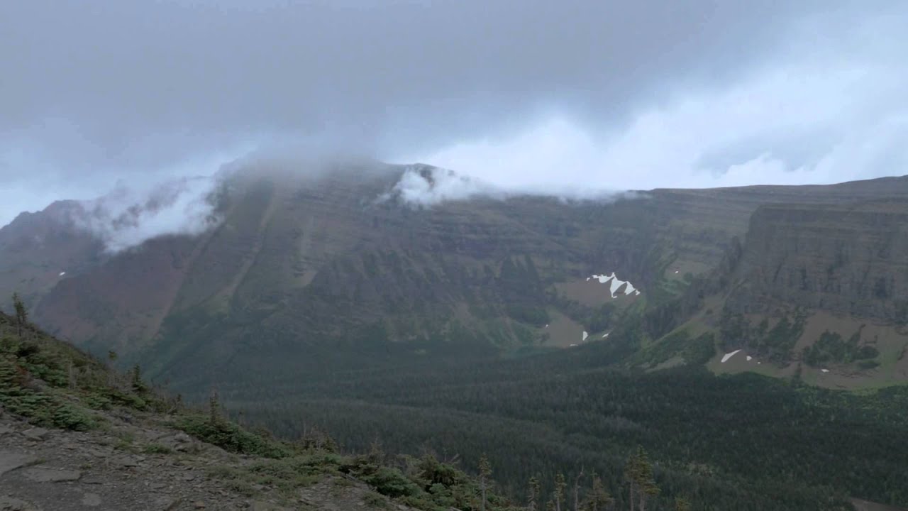 Pitamakan Dawson 2014