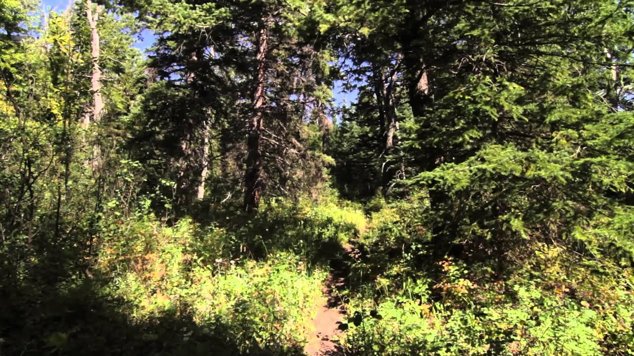Blakiston Creek Trail - Waterton Lakes National Park