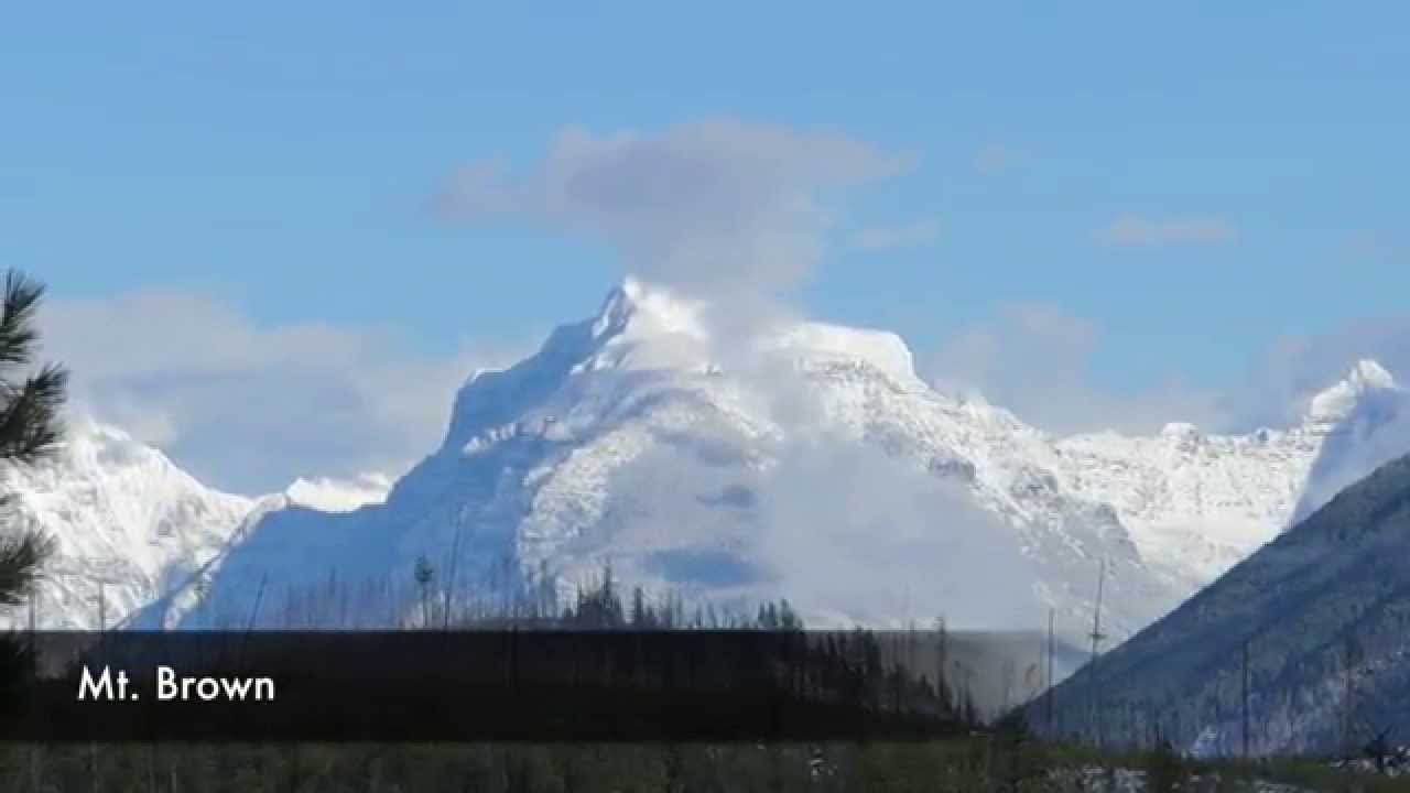 Glacier Christmas Bird Count 2014