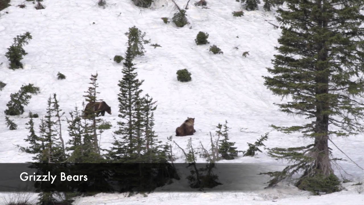 Elizabeth Lake - Spring 2014