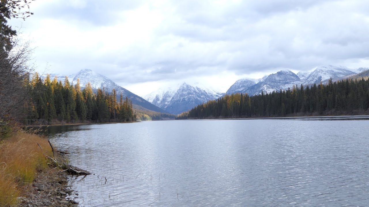 Logging Lake Fall 2022