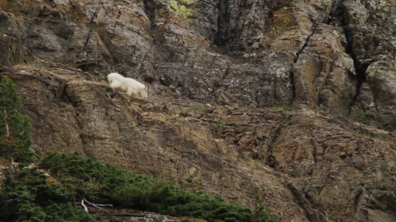 Northern Highline