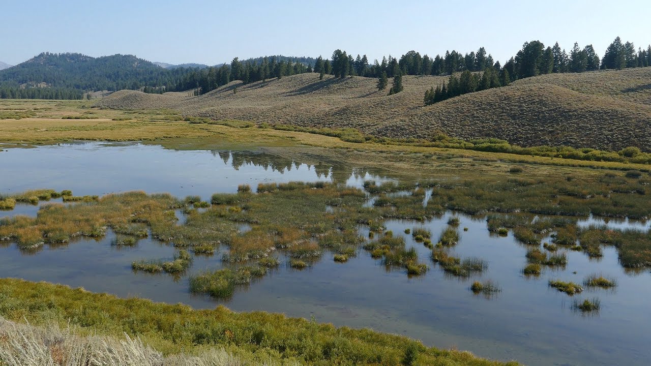 Christian Pond Loop