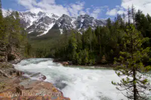 McDonald Creek Trail